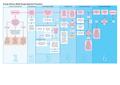 EDM Delivery Flowchart 001.pdf