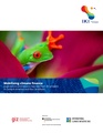 Giz2021-0254en-climate-finance-central-america-caribbean.pdf