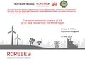 The Socio-economic Impact of EE Up-to Date Results from the MENA Region.pdf