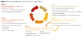 Policy Development Cycle for the Mini-Grid Sector.png