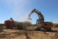 Bush Encroachment 4.jpg