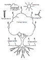 Major climatic factors affecting crop water demand.png