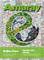 AMARAY Edicion N° 11 English.pdf